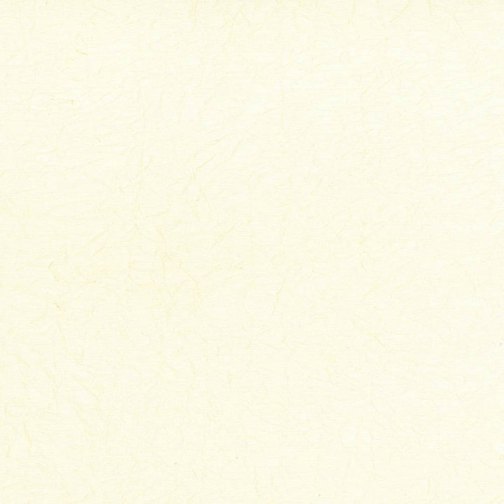 Wrinkle In Time Vanilla by Kasmir Fabric 5047 100% Polyester
 INDIA </p><p>Repeat: Horizontal: N/A and Vertical: N/A 54 - Fabric Carolina -