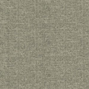 Zenith Alaska by Kasmir Fabric