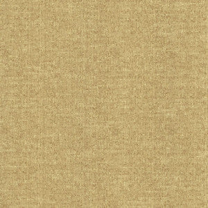 Zenith Birch by Kasmir Fabric