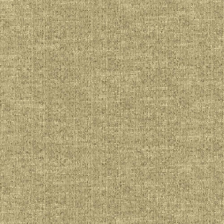 Zenith Coin by Kasmir Fabric 5129 66% Cotton
34% Polyester
 TAIWAN </p><p>Repeat: Horizontal: N/A and Vertical: N/A 54 - 55 - Fabric Carolina -