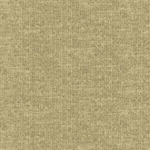 Zenith Coin by Kasmir Fabric