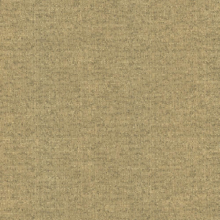 Zenith Earth by Kasmir Fabric 5129 66% Cotton
34% Polyester
 TAIWAN </p><p>Repeat: Horizontal: N/A and Vertical: N/A 54 - 55 - Fabric Carolina -