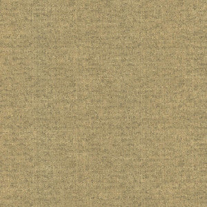 Zenith Earth by Kasmir Fabric