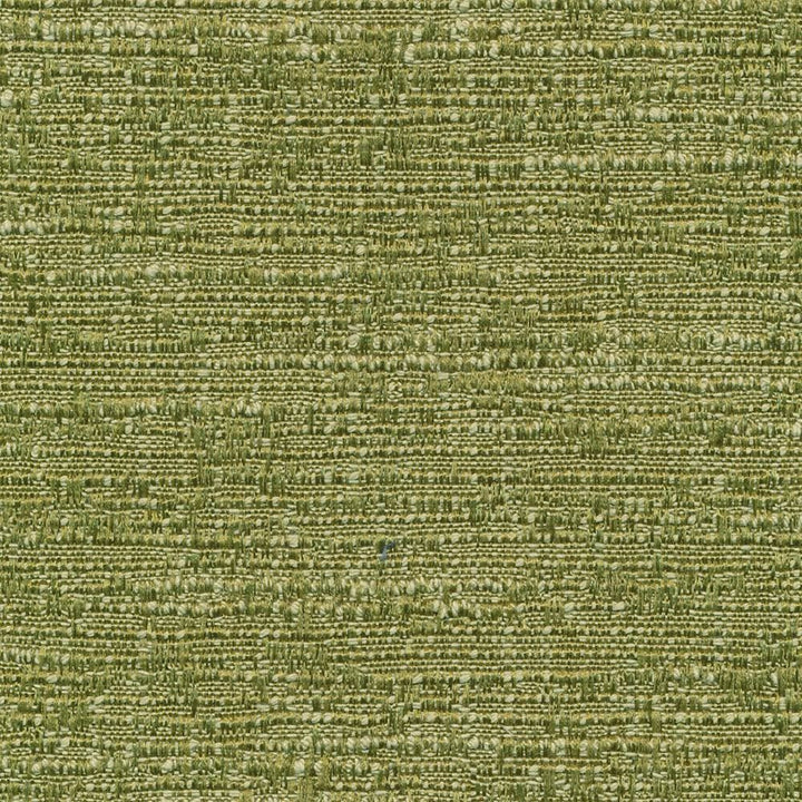 Zenith Endive  by Kasmir Fabric See sample 66% Cotton
34% Polyester
 TAIWAN 30,000 Wyzenbeek Double Rubs </p><p>Repeat: Horizontal: N/A and Vertical: N/A 54  - Fabric Carolina -