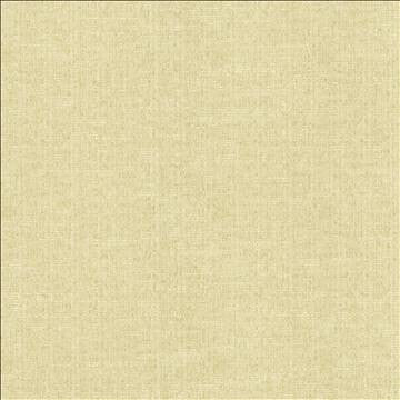 Zenith Ivory by Kasmir Fabric 5129 66% Cotton 34% Polyester TAIWAN 25,000 Wyzenbeek Double Rubs H: N/A, V: N/A 54 - 55 - Fabric Carolina - Kasmir