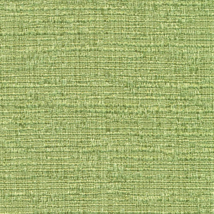 Zenith Kiwi by Kasmir Fabric 1393 TAIWAN 25,000 Wyzenbeek Double Rubs H: N/A, V:N/A 54 - 55 - Fabric Carolina - Kasmir