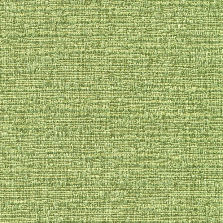 Zenith Kiwi by Kasmir Fabric 1393 66% Cotton
34% Polyester
 TAIWAN </p><p>Repeat: Horizontal: N/A and Vertical: N/A 54 - 55 - Fabric Carolina -