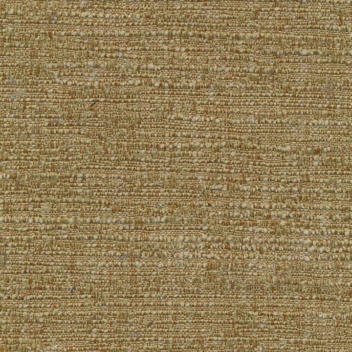 Zenith Loden by Kasmir Fabric 1261 TAIWAN 25,000 Wyzenbeek Double Rubs H: N/A, V:N/A 54 - 55 - Fabric Carolina - Kasmir