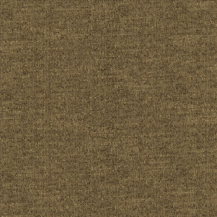 Zenith Mocha by Kasmir Fabric 1265 66% Cotton
34% Polyester
 TAIWAN 30,000 Wyzenbeek Double Rubs Horizontal: N/A and Vertical: N/A 54 - Fabric Carolina -