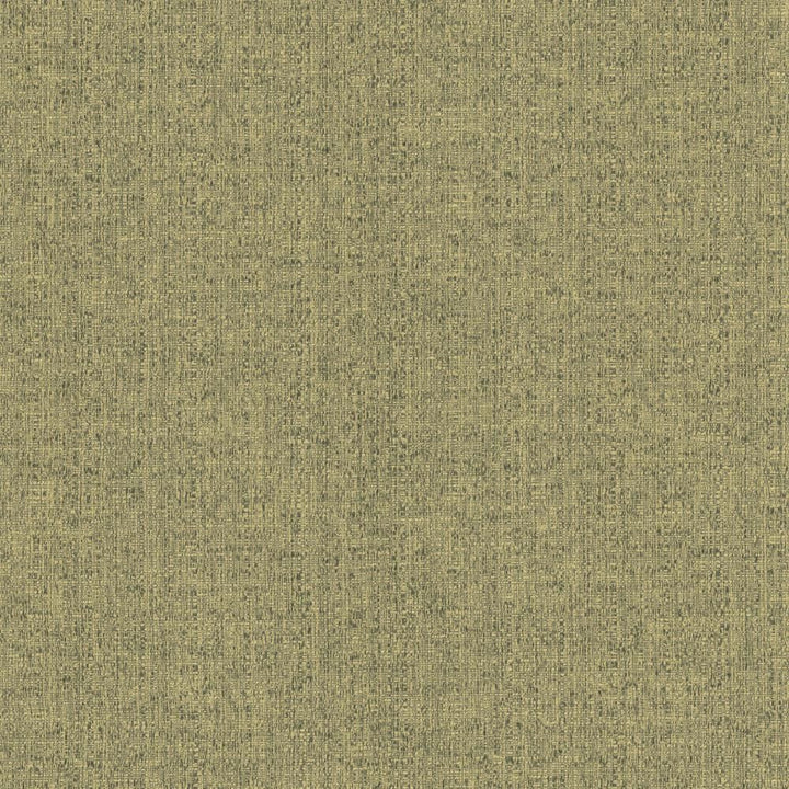 Zenith Opaline by Kasmir Fabric 5129 66% Cotton
34% Polyester
 TAIWAN </p><p>Repeat: Horizontal: N/A and Vertical: N/A 54 - 55 - Fabric Carolina -