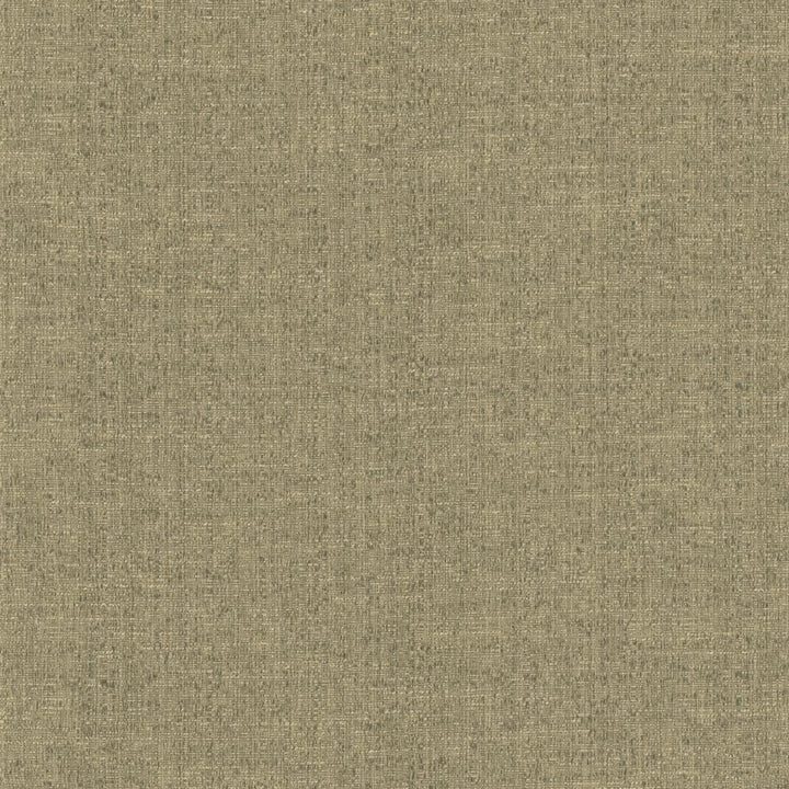 Zenith Pewter by Kasmir Fabric 5129 66% Cotton
34% Polyester
 TAIWAN </p><p>Repeat: Horizontal: N/A and Vertical: N/A 54 - 55 - Fabric Carolina -