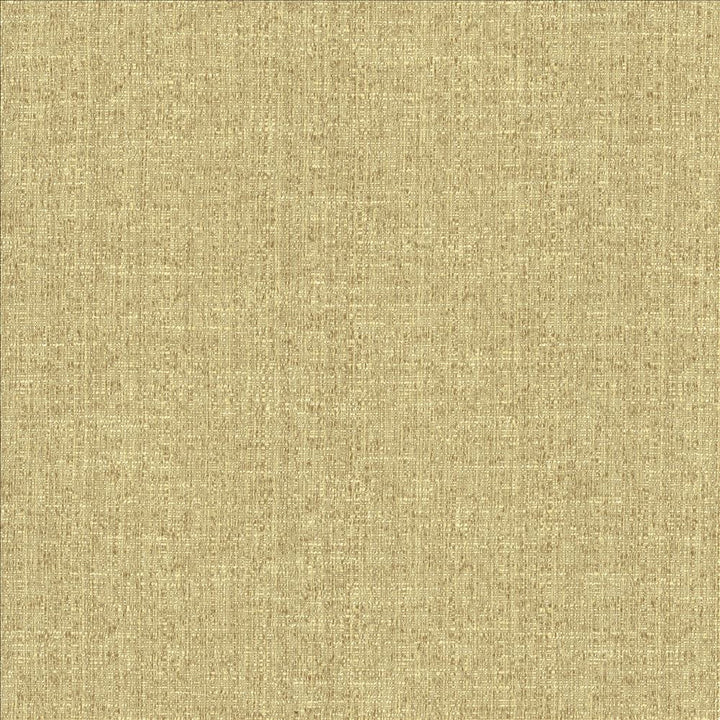 Zenith Rye by Kasmir Fabric 5129 66% Cotton
34% Polyester
 TAIWAN </p><p>Repeat: Horizontal: N/A and Vertical: N/A 54 - 55 - Fabric Carolina -
