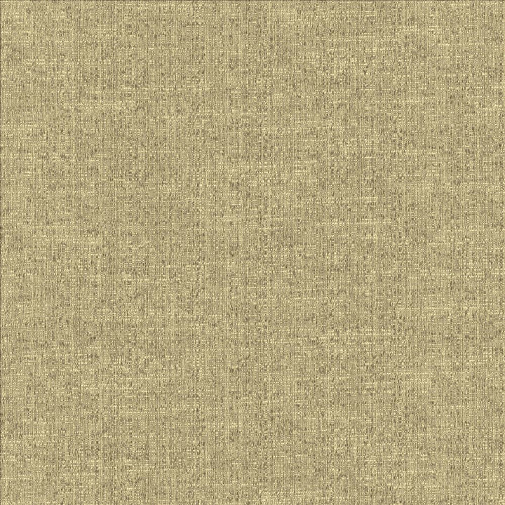 Zenith Stone by Kasmir Fabric 5129 66% Cotton
34% Polyester
 TAIWAN </p><p>Repeat: Horizontal: N/A and Vertical: N/A 54 - 55 - Fabric Carolina -