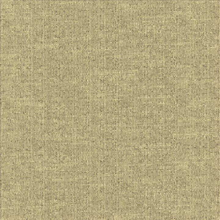 Zenith Stone by Kasmir Fabric 5129 66% Cotton
34% Polyester
 TAIWAN 30,000 Wyzenbeek Double Rubs </p><p>Repeat: Horizontal: N/A and Vertical: N/A 54 - Fabric Carolina -