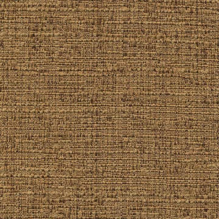 Zenith Walnut by Kasmir Fabric 1393 TAIWAN 25,000 Wyzenbeek Double Rubs H: N/A, V:N/A 54 - 55 - Fabric Carolina - Kasmir