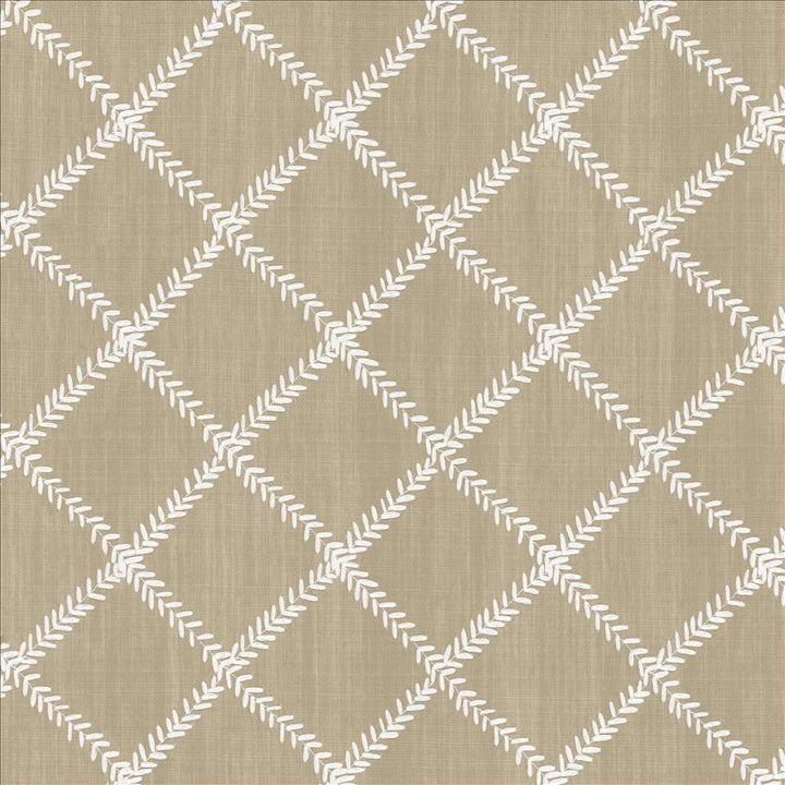 Zipper Trail Dove by Kasmir Fabric 1449 67% Polyester 33% Cotton INDIA Not Tested Horizontal: 4 6/8 inches and Vertical: 4 6/8 inches 53 - Fabric Carolina -