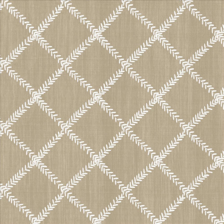 Zipper Trail Dove by Kasmir Fabric 1449 67% Polyester
33% Cotton
 INDIA </p><p>Repeat: Horizontal: 4 6/8 inches and Vertical: 4 6/8 inches 53 - Fabric Carolina -