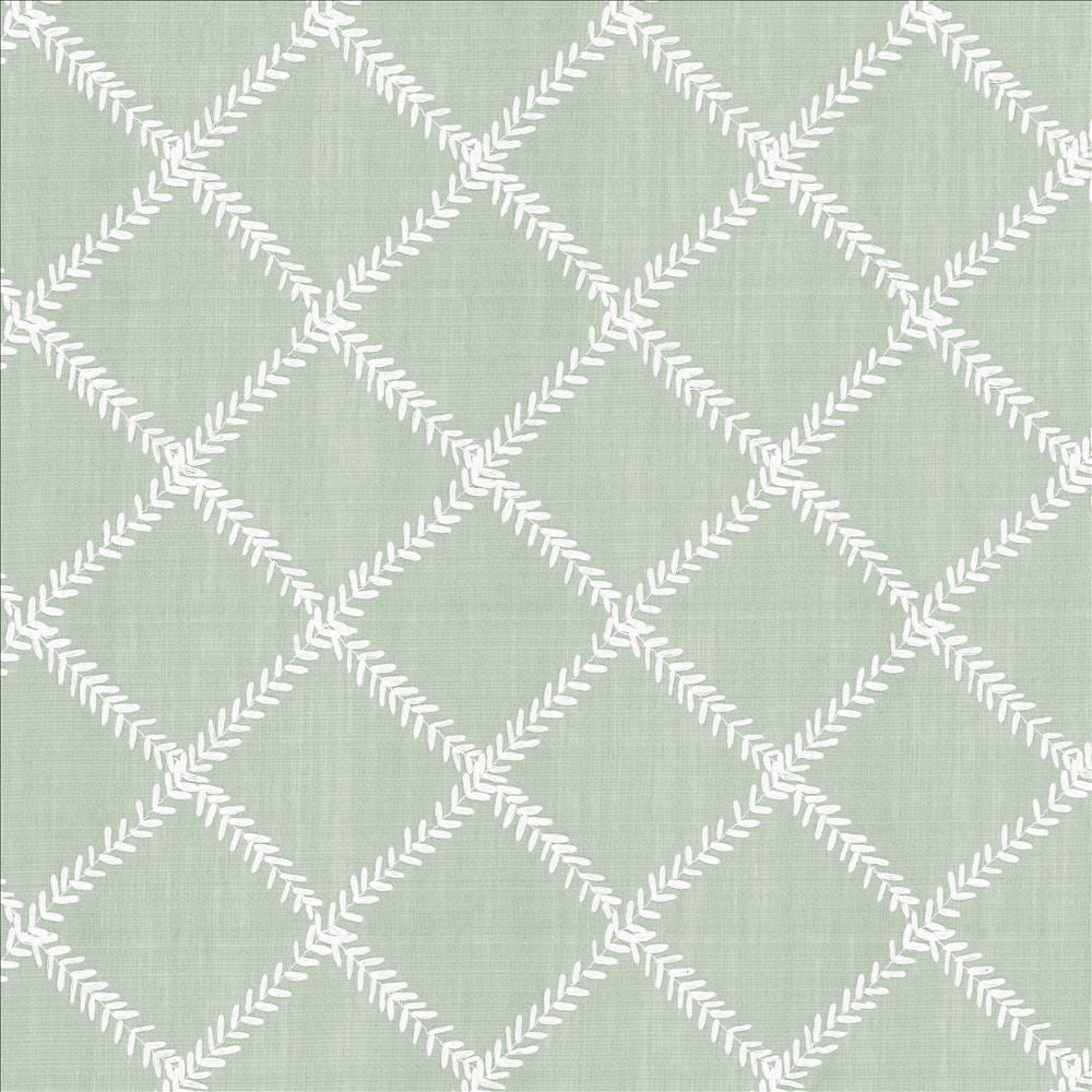 Zipper Trail Duckegg by Kasmir Fabric 1449 67% Polyester
33% Cotton
 INDIA </p><p>Repeat: Horizontal: 4 6/8 inches and Vertical: 4 6/8 inches 53 - Fabric Carolina -