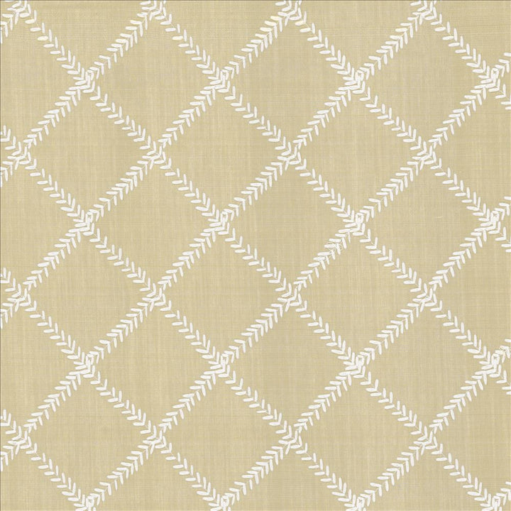 Zipper Trail Linen by Kasmir Fabric 1449 67% Polyester
33% Cotton
 INDIA </p><p>Repeat: Horizontal: 4 6/8 inches and Vertical: 4 6/8 inches 53 - Fabric Carolina -
