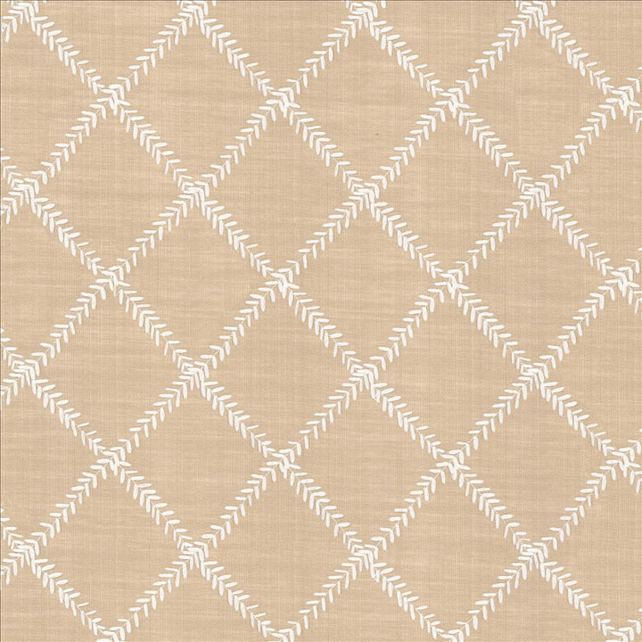 Zipper Trail Rose Quartz by Kasmir Fabric 1449 67% Polyester
33% Cotton
 INDIA Not Tested </p><p>Repeat: Horizontal: 4 6/8 inches and Vertical: 4 6/8 inches 53 - Fabric Carolina -