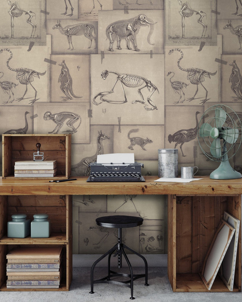 ZOOARCHAEOLOGY Wallpaper (WP20236) by Mind The Gap | WP20236 | PREMIUM DESIGNER WALLPAPER COLLECTION | 3 rolls x 20.5 x 118.1 in | 0.52m / 20.5in | 3m / 118in | 4.65mp | 300cm / 118in | Black, Grey, Taupe | Non-woven | Paste the wall | 3-rolls in a box | Fabric Carolina | https://www.fabriccarolina.com/